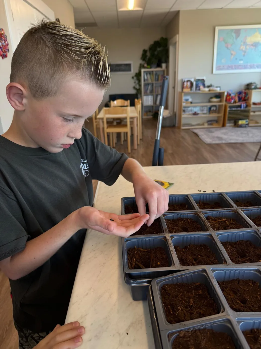 Student planting seeds in the classroom